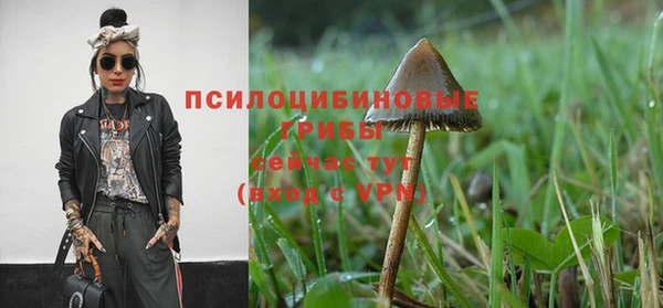 первитин Богородицк