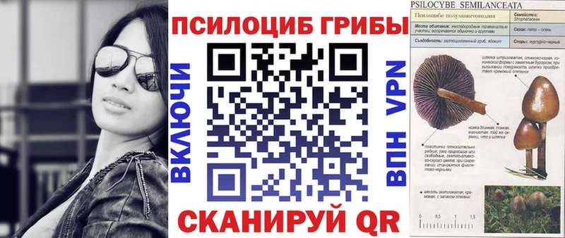 Псилоцибиновые грибы GOLDEN TEACHER  Купить где  Татарск 